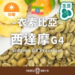 衣索比亞 西達摩 G4 Premium